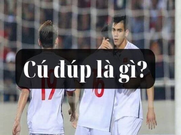 Giải đáp cú đúp là gì?