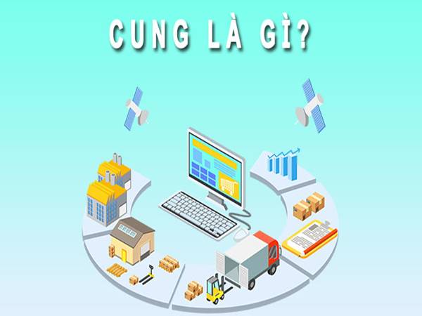 Cung là gì? Những đặc trưng của nguồn cung ra sao