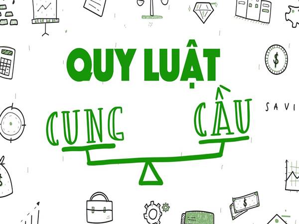 Quy luật cung cầu - Ý nghĩa và tác dụng của quy luật ra sao