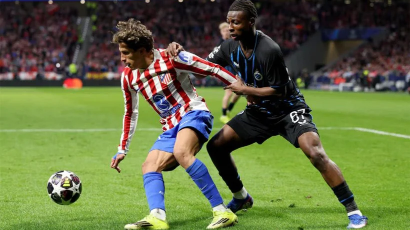 Con số biết nói và sự khác biệt mang tên Lammens