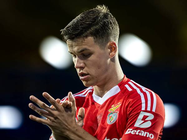 Vì sao Samuel Dahl được đánh giá cao ở thời điểm hiện tại?